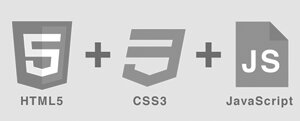 HTML5 CSS3 JavaScript