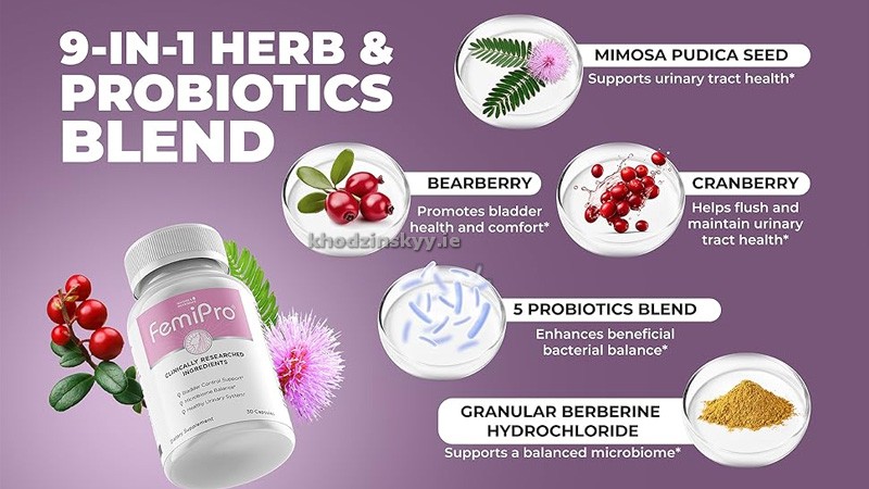 Femipro Key Ingredients Breakdown